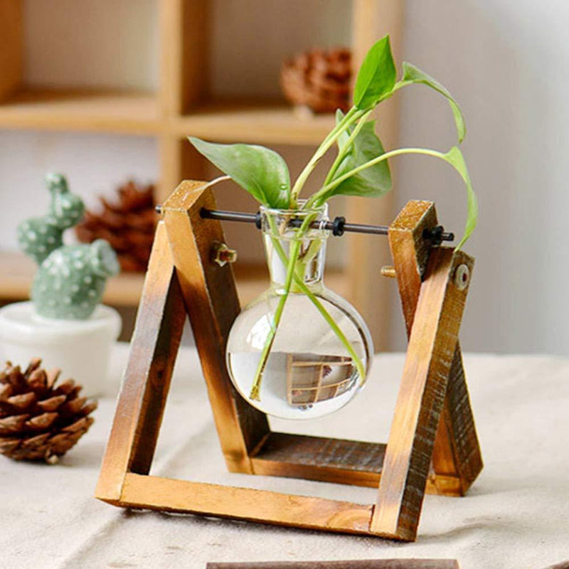 Transparent Glass Bulb with Wooden Framed Vases