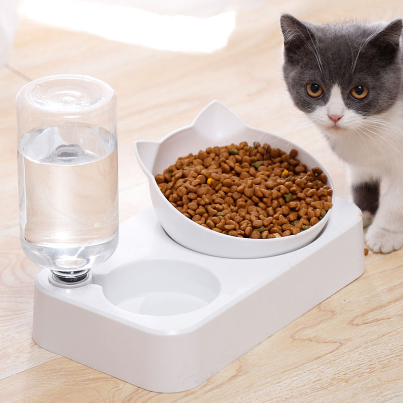 Pet bowl with an automatic water dispenser for cats and dogs
