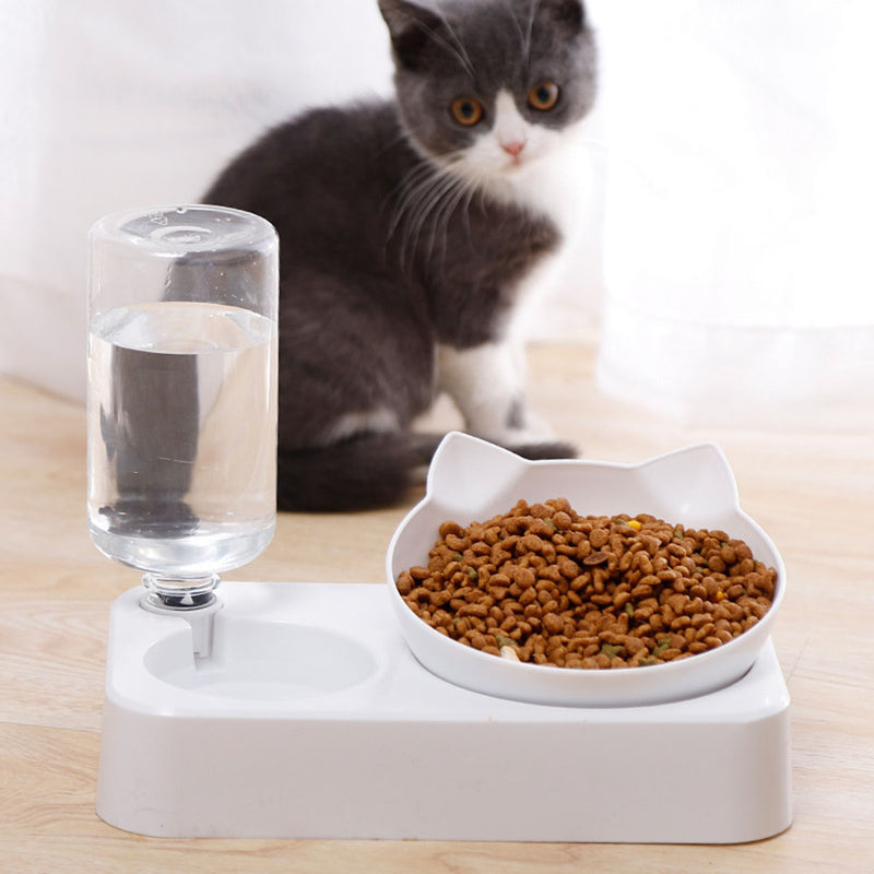 Pet bowl with an automatic water dispenser for cats and dogs